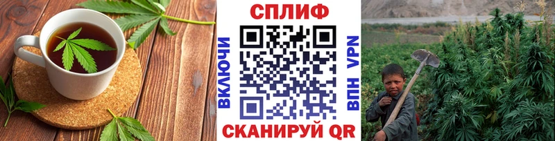 Еда ТГК конопля Байкальск
