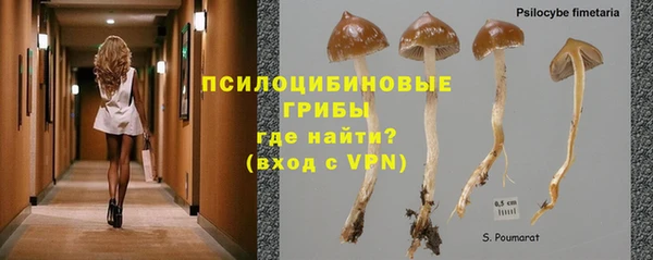 синтетический гашиш Арсеньев